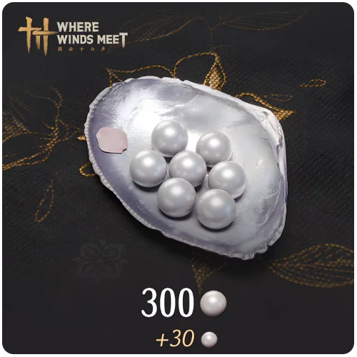 300 Echo Beads