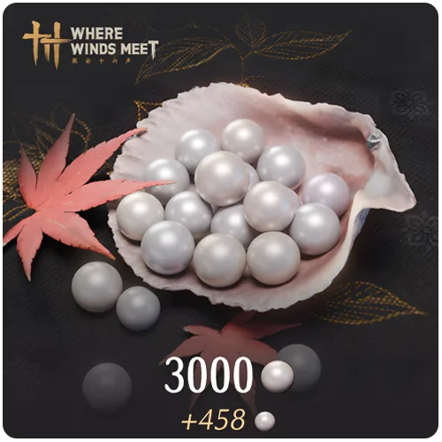 3000 Echo Beads