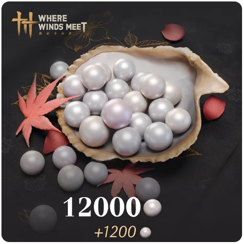 12000 Echo Beads